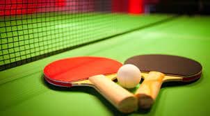 Ping Pong Table