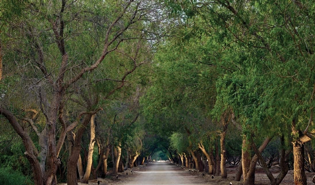 Private Community Entrance