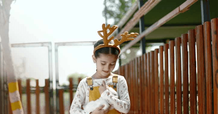 Petting farm