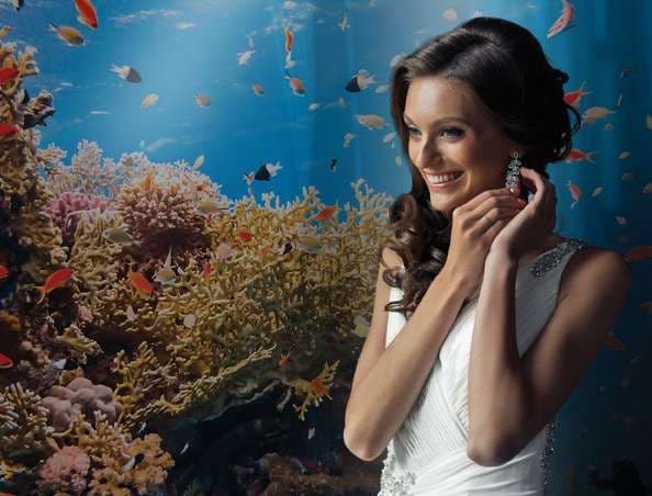 Coral Reefs & Marine Life