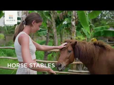 Project Video
