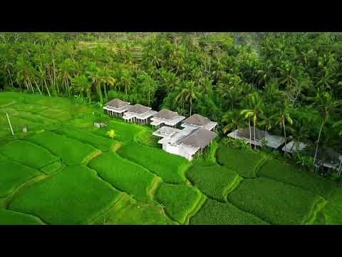 Project Video