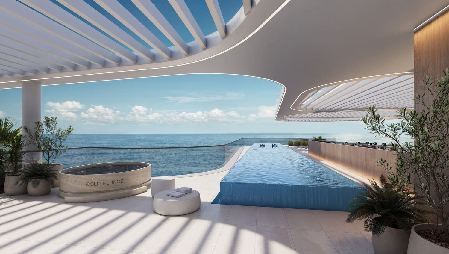 Cold Plunge & Rooftop Lap Pool