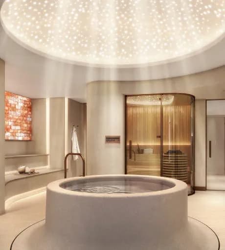 Sauna And Salt Steam Room